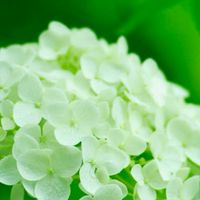 カラオケ＆雑談🍀ライブトーク😄😃みんなで楽しく(⁠ ⁠ꈍ⁠ᴗ⁠ꈍ⁠)🌺