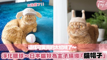 可愛得太犯規了！日本貓奴回收貓主字的毛髮，編織成萌爆貓帽子，心都要融化了～