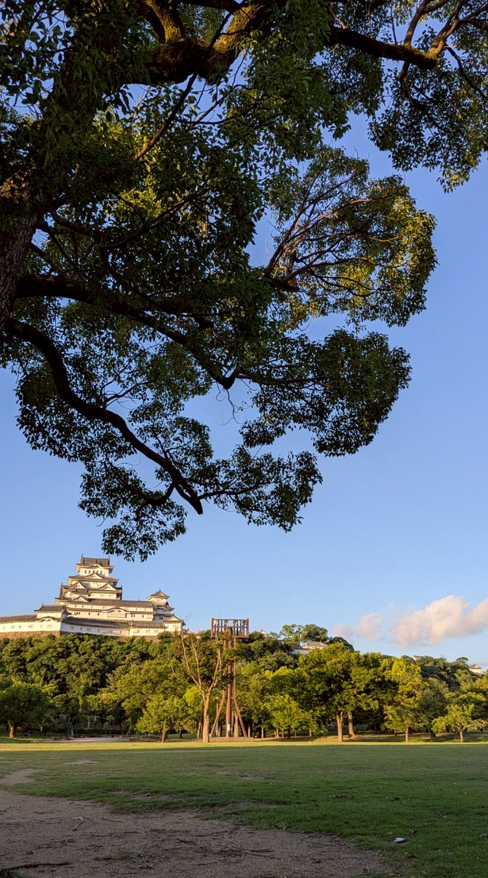 姫路・先生のヨガ休憩室🧘