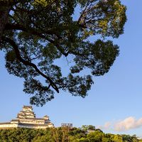 OKOJO YOGA for Teachers〜姫路・先生のヨガ休憩室🧘〜