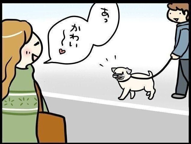 緊急対応が必要なことも 犬の舌の色から分かる体調変化