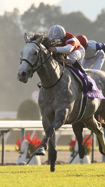 OpenChat 競馬ファン