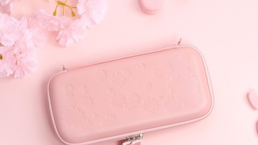 2020超人氣Switch保護套特搜！Switch保護套推薦這５款實用又美觀！時尚、文青、療癒你想要哪一種？快幫Switch換上新裝扮～