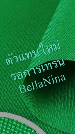ตัวแทนใหม่ รอเทรน