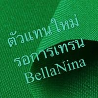ตัวแทนใหม่ รอเทรน