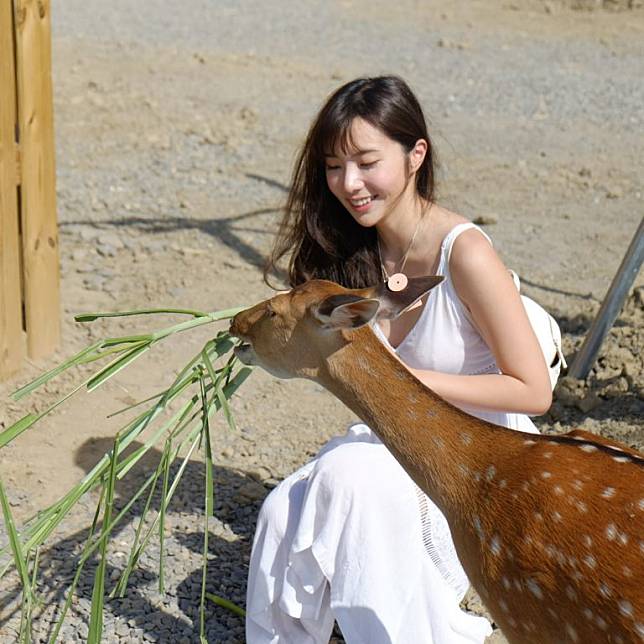 ▲屏東親子旅遊推薦-鹿境梅花鹿生態園區。 （圖／zora_1024, Instagram）