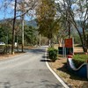 屏東龍泉華泰軍品
