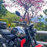 遛遛你凱旋俱樂部