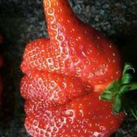 未上市股票投資 準興櫃股 創新板 新手莫入