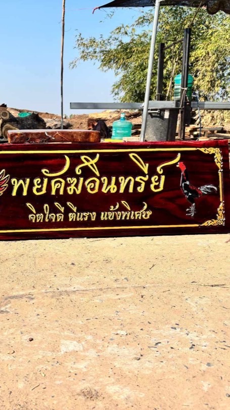 พยัคฆ์อินทรีย์ฟาร์ม พิจิตร