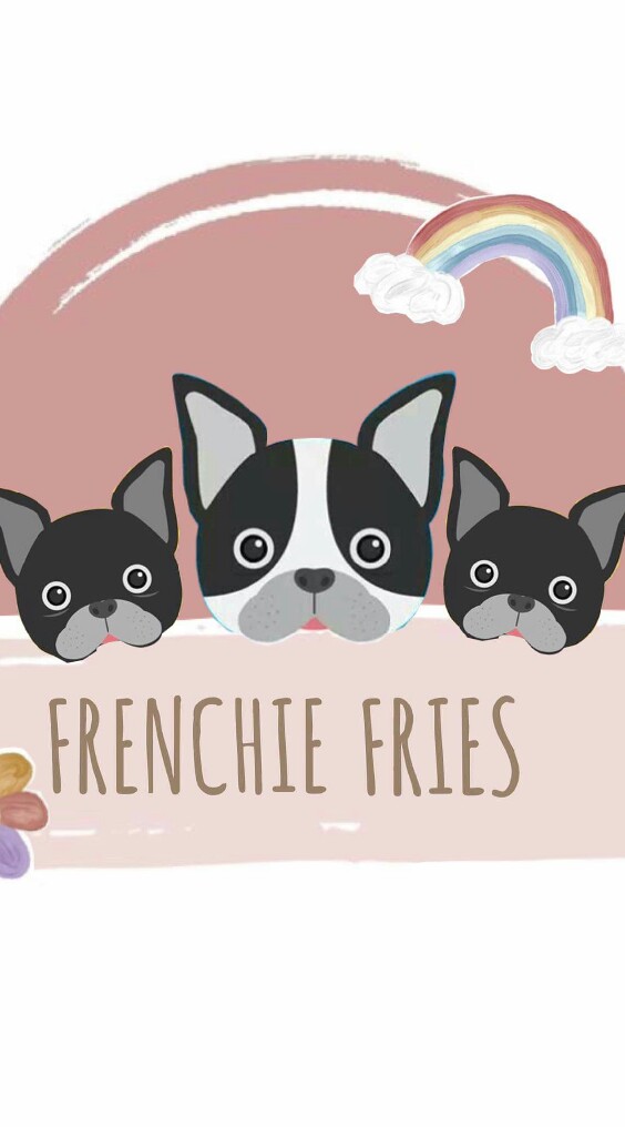 ซื้อขายตามหาอุปกรณ์หมา+แมว(BYเฟร้นชี่-ฟาย Frenchie Fries)