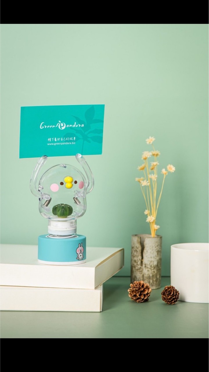 Green Pandora療癒盆栽｜IP文創小物｜客製化禮贈品