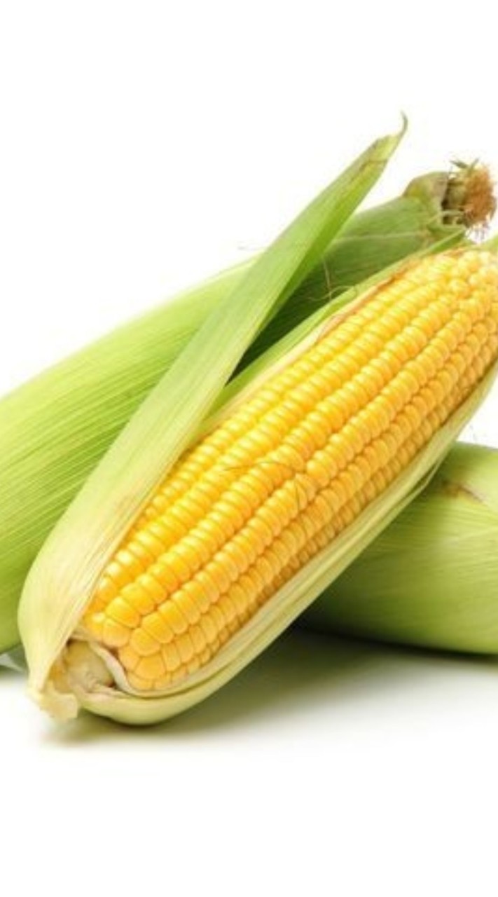 แก๊งข้าวโพด🌽