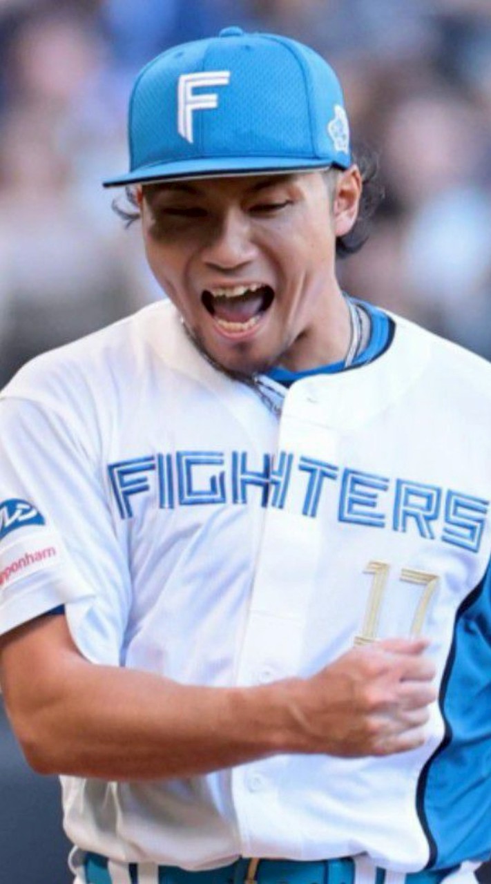 ハムほーしようぜ！