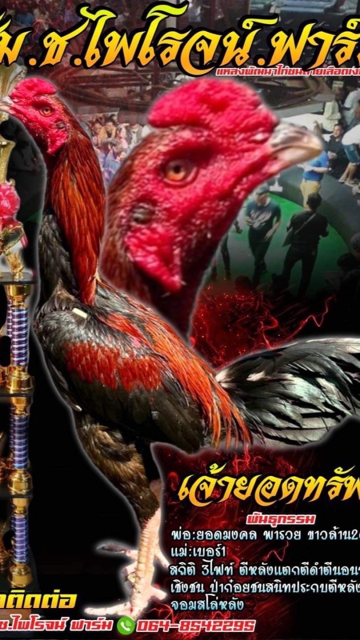 ซุ้ม ช.ไพโรจน์ ฟาร์ม