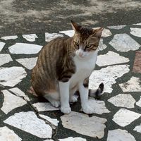 gogogo出發囉