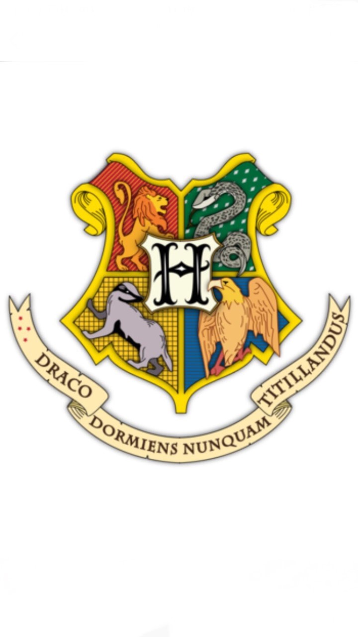 Hogwarts School