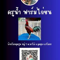 ครูน้ำ ฟาร์มไก่ชน