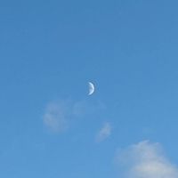 龍谷大学 空サークル☁️🫧