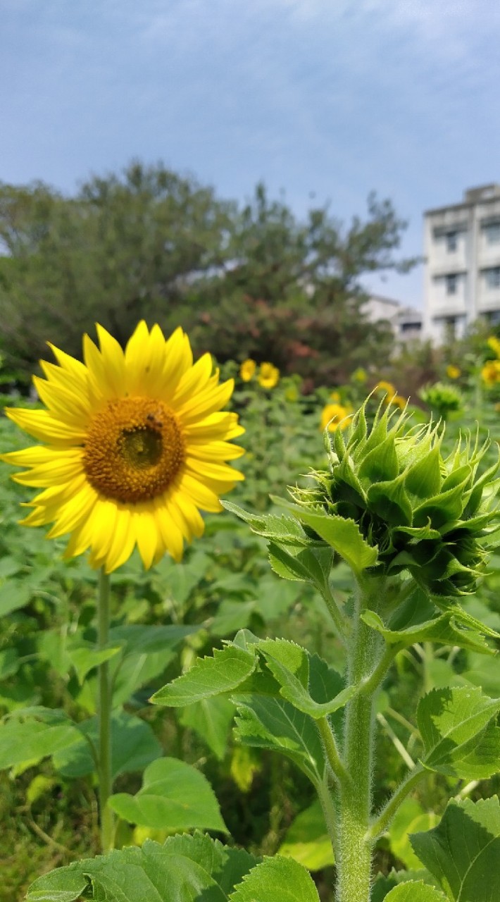 112小一新生家長保溫