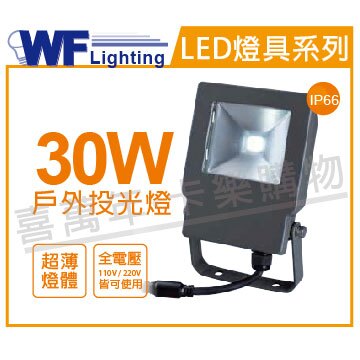 舞光 LED 30W 6000K 白光 140度 IP66 全電壓 戶外洗牆燈 投光燈_WF430587