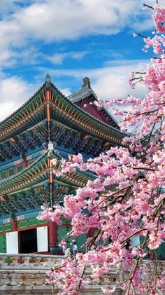 韓国旅行