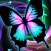 Rov-BUTTERFLY Discord