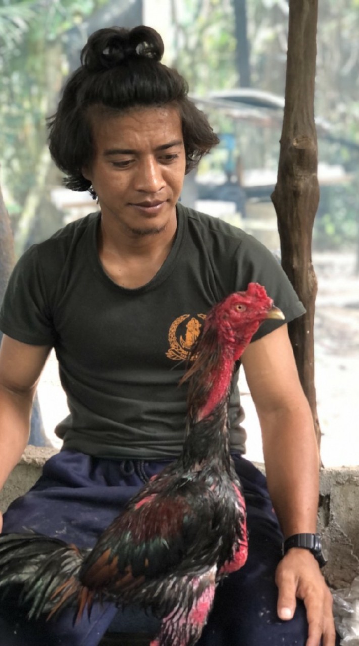 ส มาลายา FC H Malaya farm