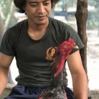ส มาลายา FC H Malaya farm