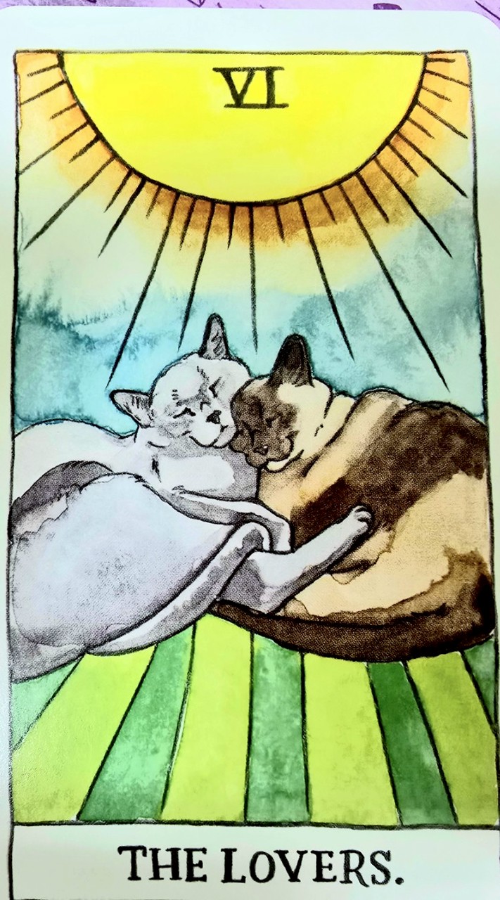 พี่กระติ๊บtrendytarot​