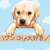 \ワンコ🐶大好き/写真動画ペタ🐾