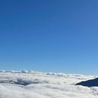 華南永昌秋琴