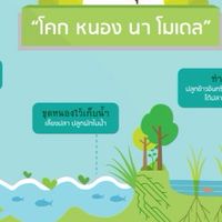 โคกหนองนากาญจนบุรี