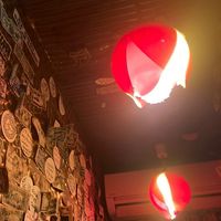 NEW!🐈飲みともだち東京🐈‍⬛🔰20-40代