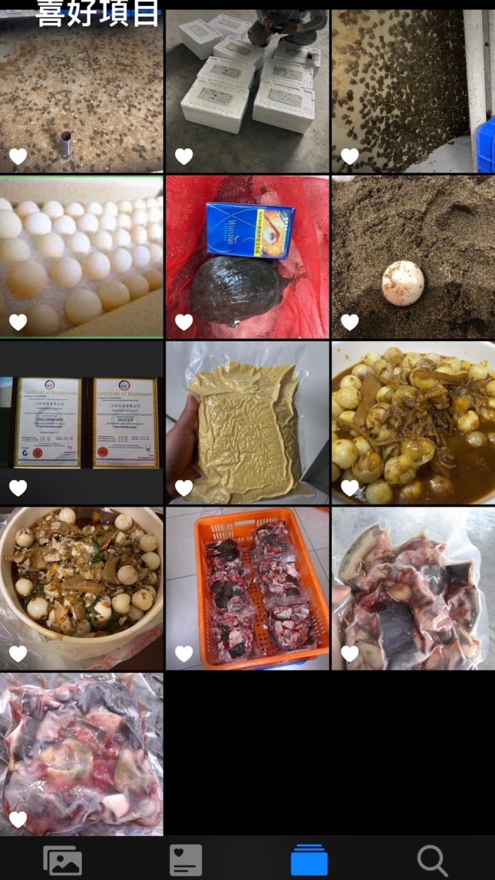 阿鱉的驚奇商品