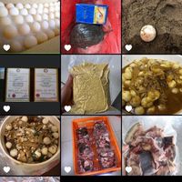 阿鱉的驚奇商品