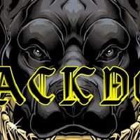 BACKDOG