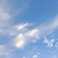 利鼎生醫
