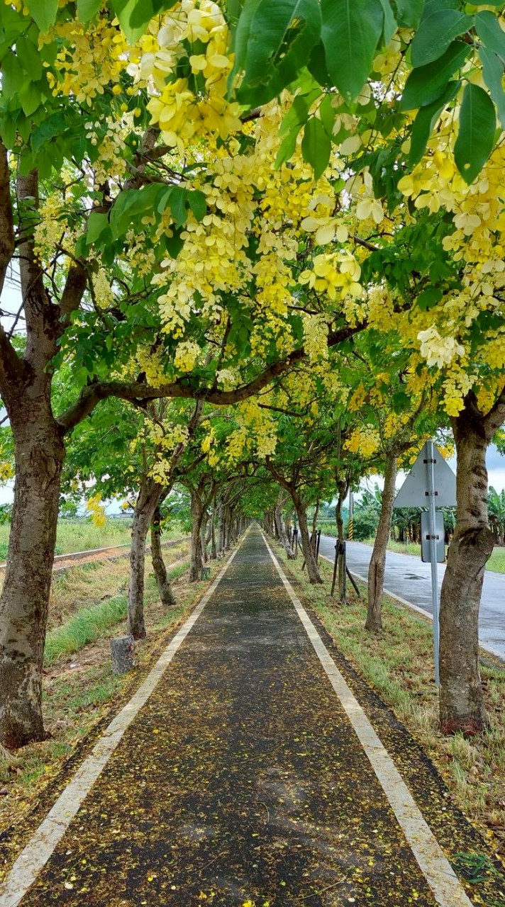 828精油療癒