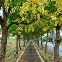 828精油療癒