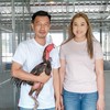 แป้งร่ำฟาร์ม ควายไทยไก่ชน