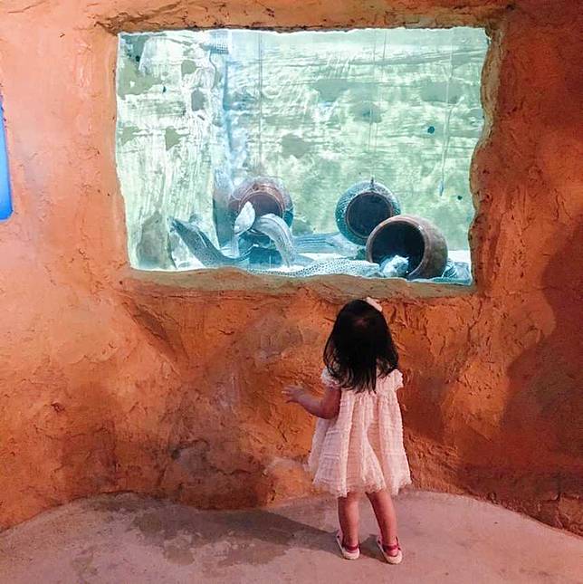 全台水族館攻略 全台5 座水族館你都去過嗎 從北到南 從東到離島 全民一起瘋水族館