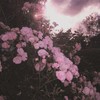 ֹֹֹ♡ུ𓈒 ดันแอค ℐ𝑔 𝚈𝚞𝚖𝚒 ֺ ◌ཾ𓈒🎀ִ𓈒ׂ