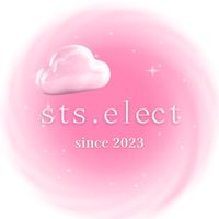 sts.elect代購群