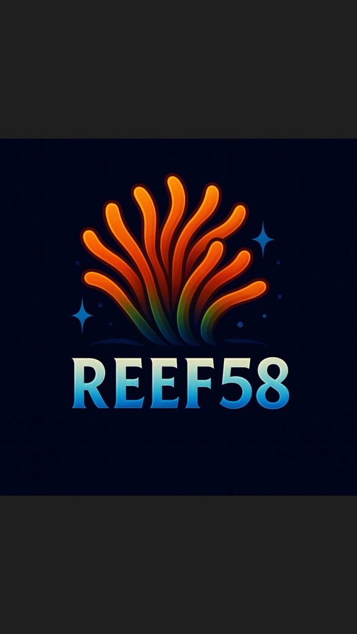 Reef58