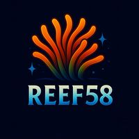 Reef58