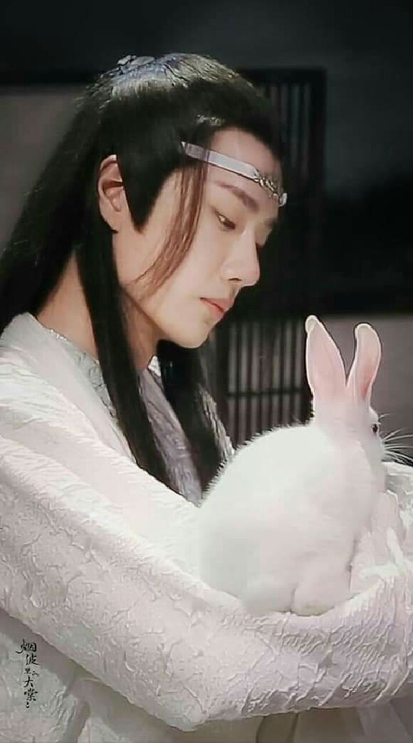 王一博子彈木