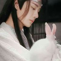 王一博子彈木