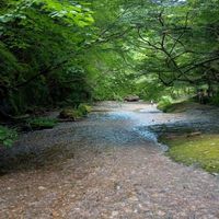 🌺愛媛香川徳島高知限定🌱おしゃべりワイワイ仲良し部屋🌺