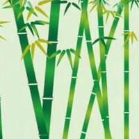 若竹町中央自治会